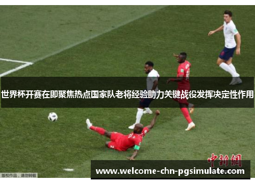 世界杯开赛在即聚焦热点国家队老将经验助力关键战役发挥决定性作用