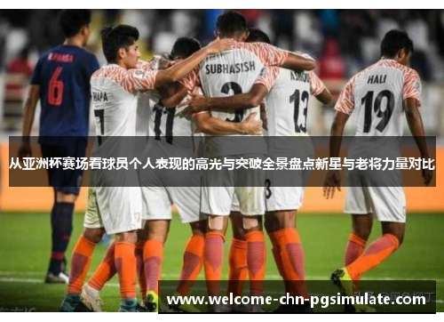 从亚洲杯赛场看球员个人表现的高光与突破全景盘点新星与老将力量对比